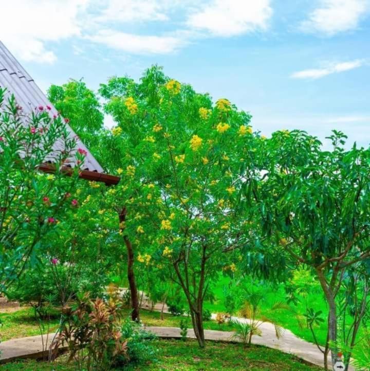 קלקודה Passi Nature Villas Passikudah מראה חיצוני תמונה